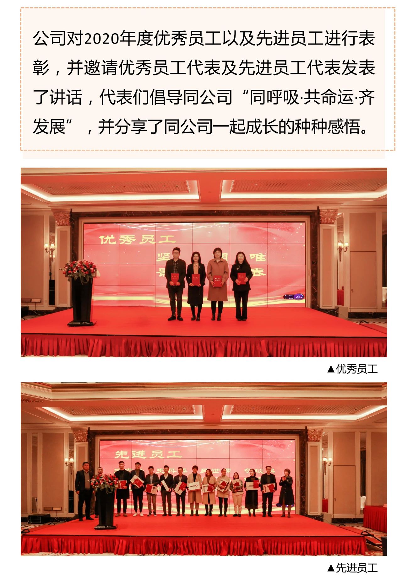 熟妇少妇任你躁在线无码