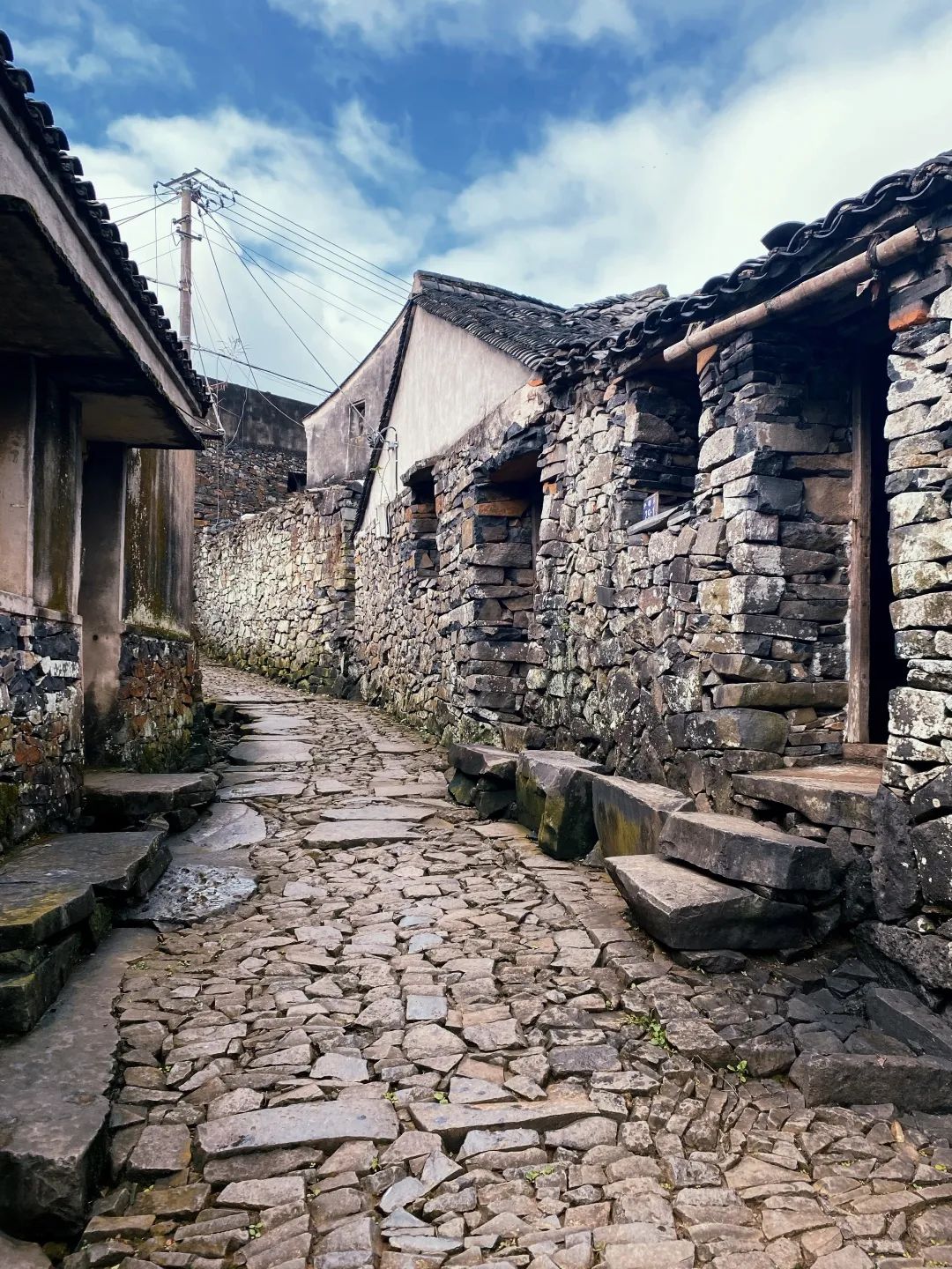 熟妇少妇任你躁在线无码