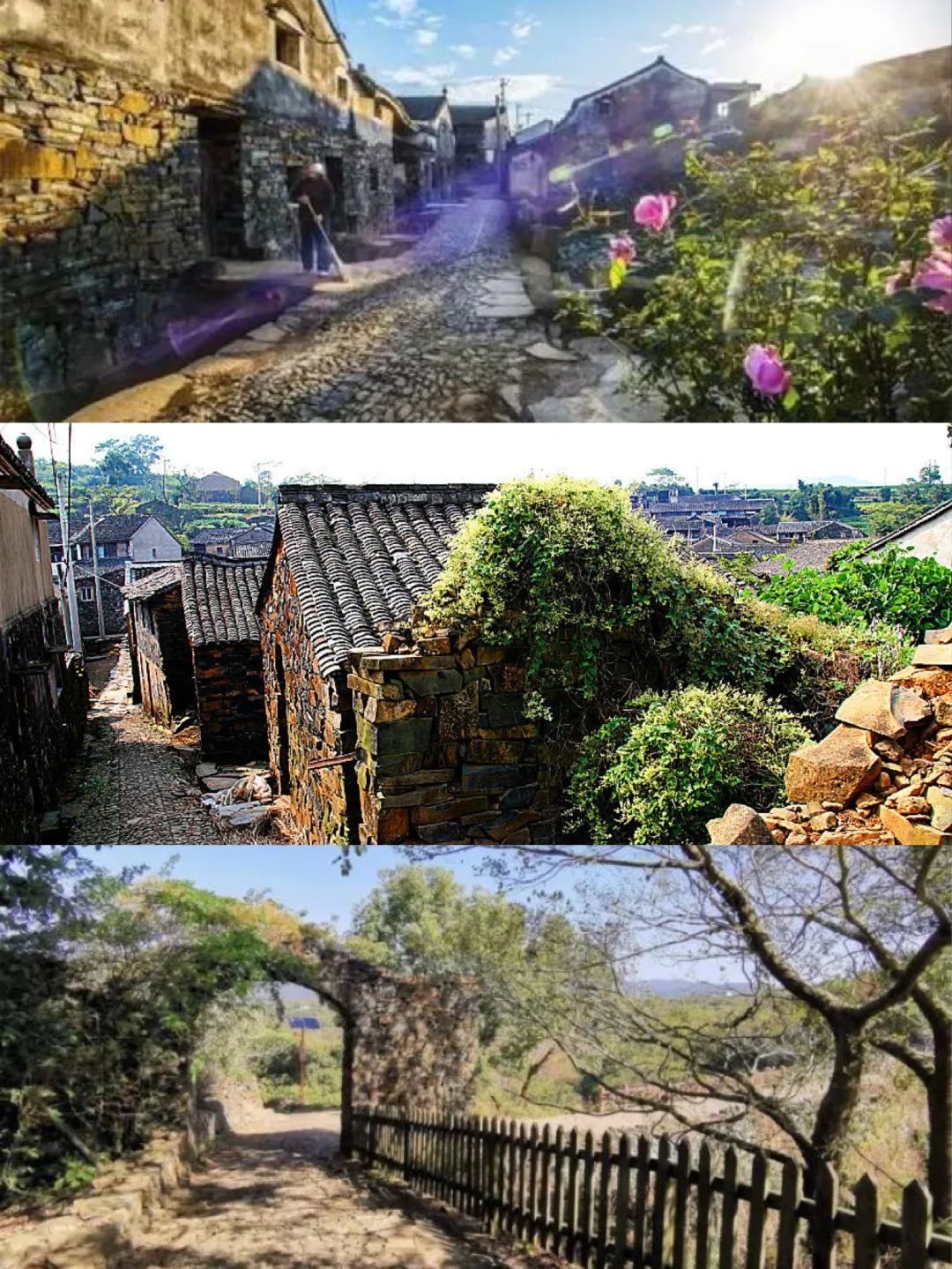 熟妇少妇任你躁在线无码