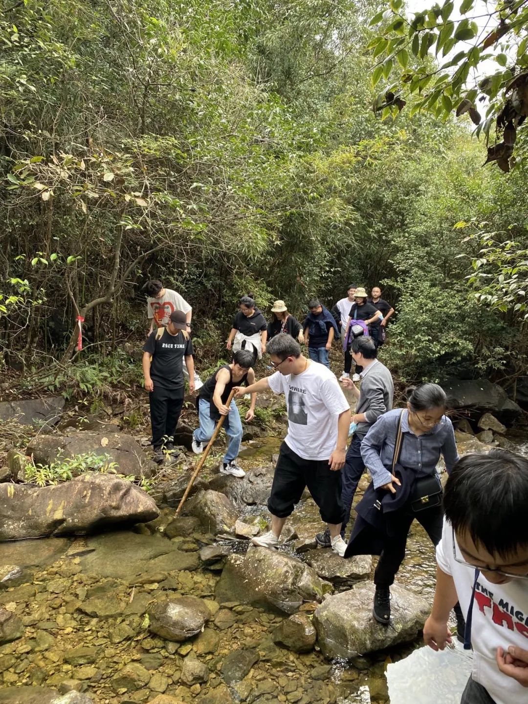 熟妇少妇任你躁在线无码