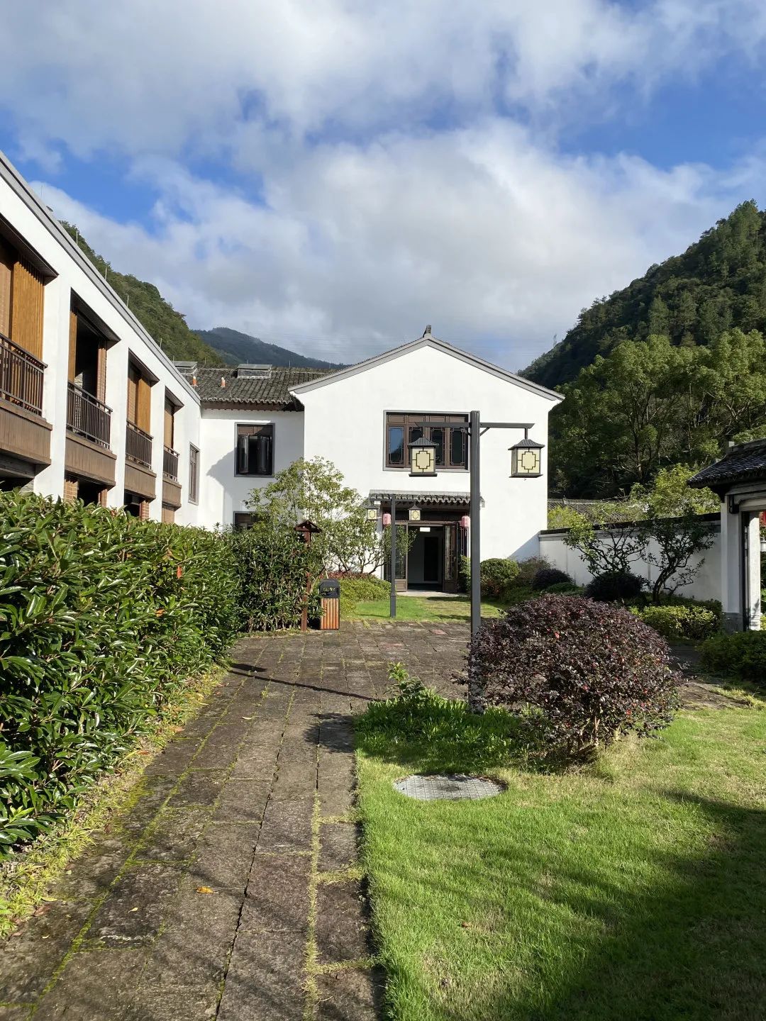 熟妇少妇任你躁在线无码