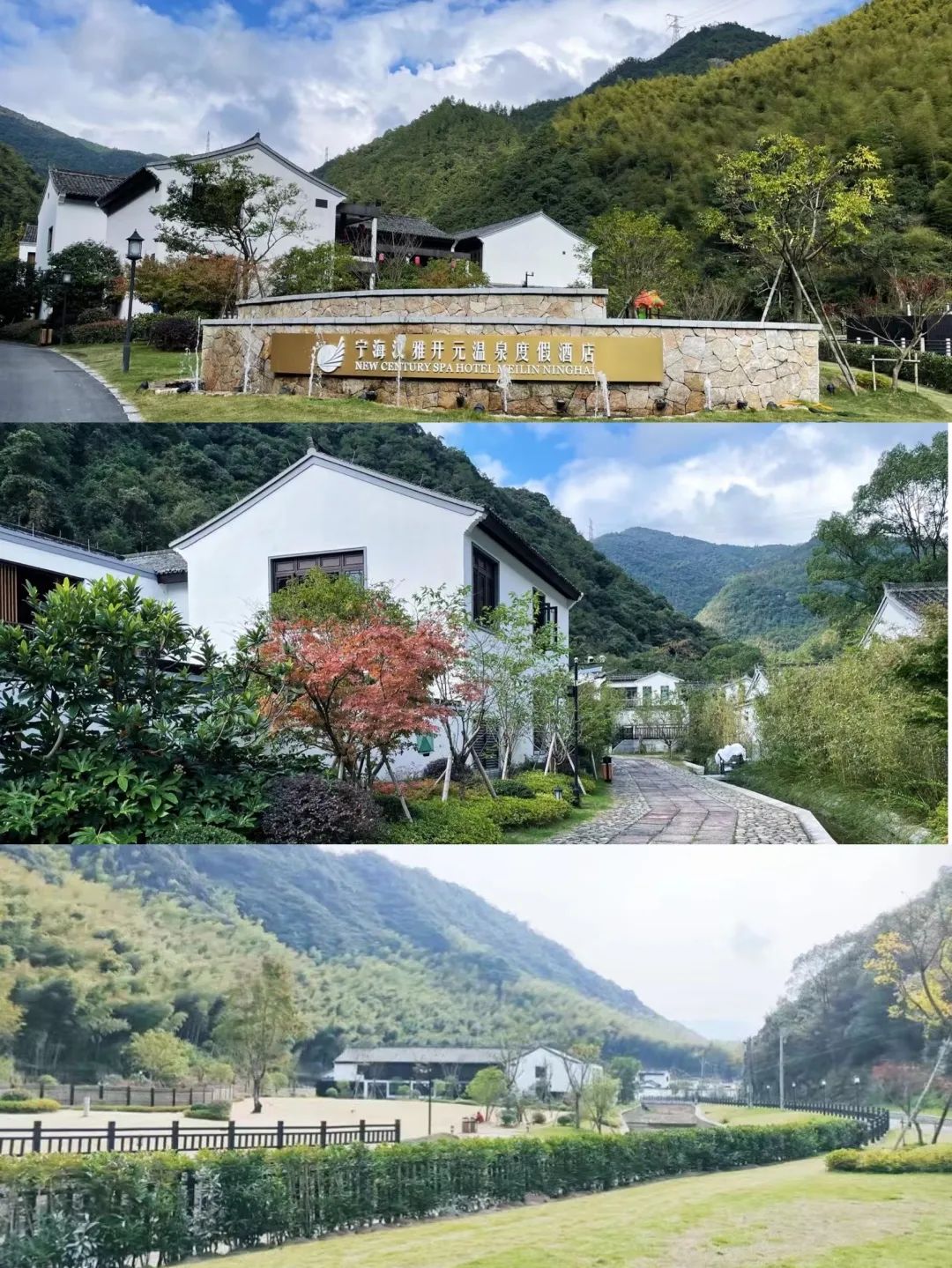 熟妇少妇任你躁在线无码