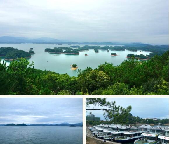 熟妇少妇任你躁在线无码