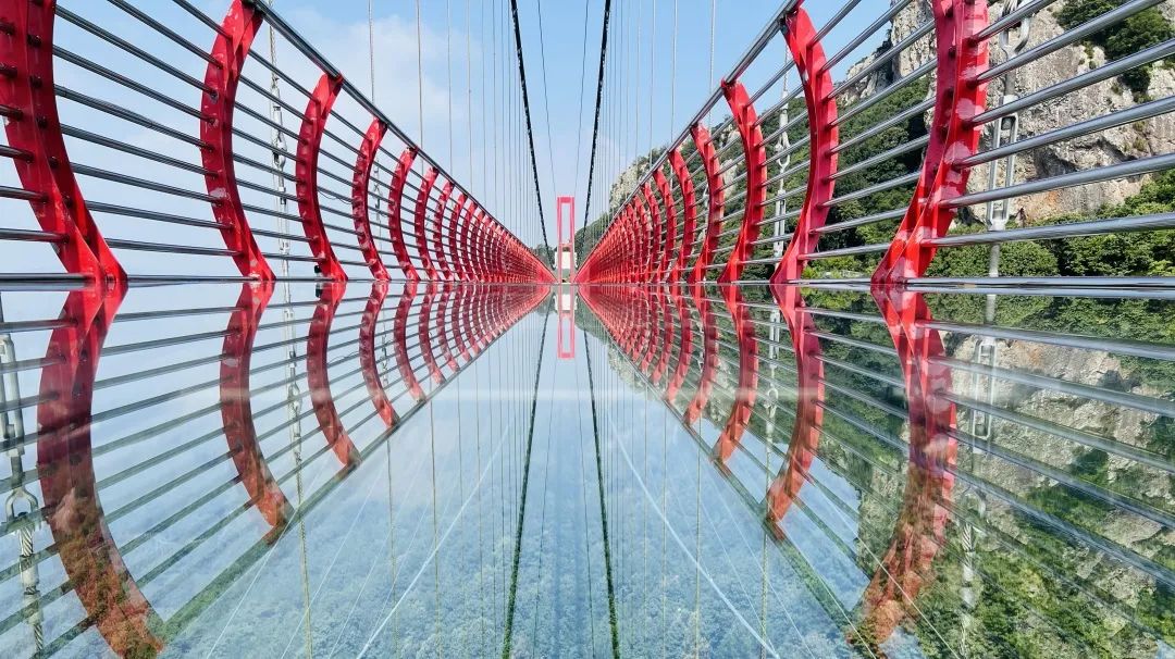 熟妇少妇任你躁在线无码