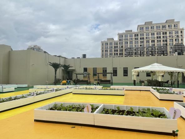 熟妇少妇任你躁在线无码