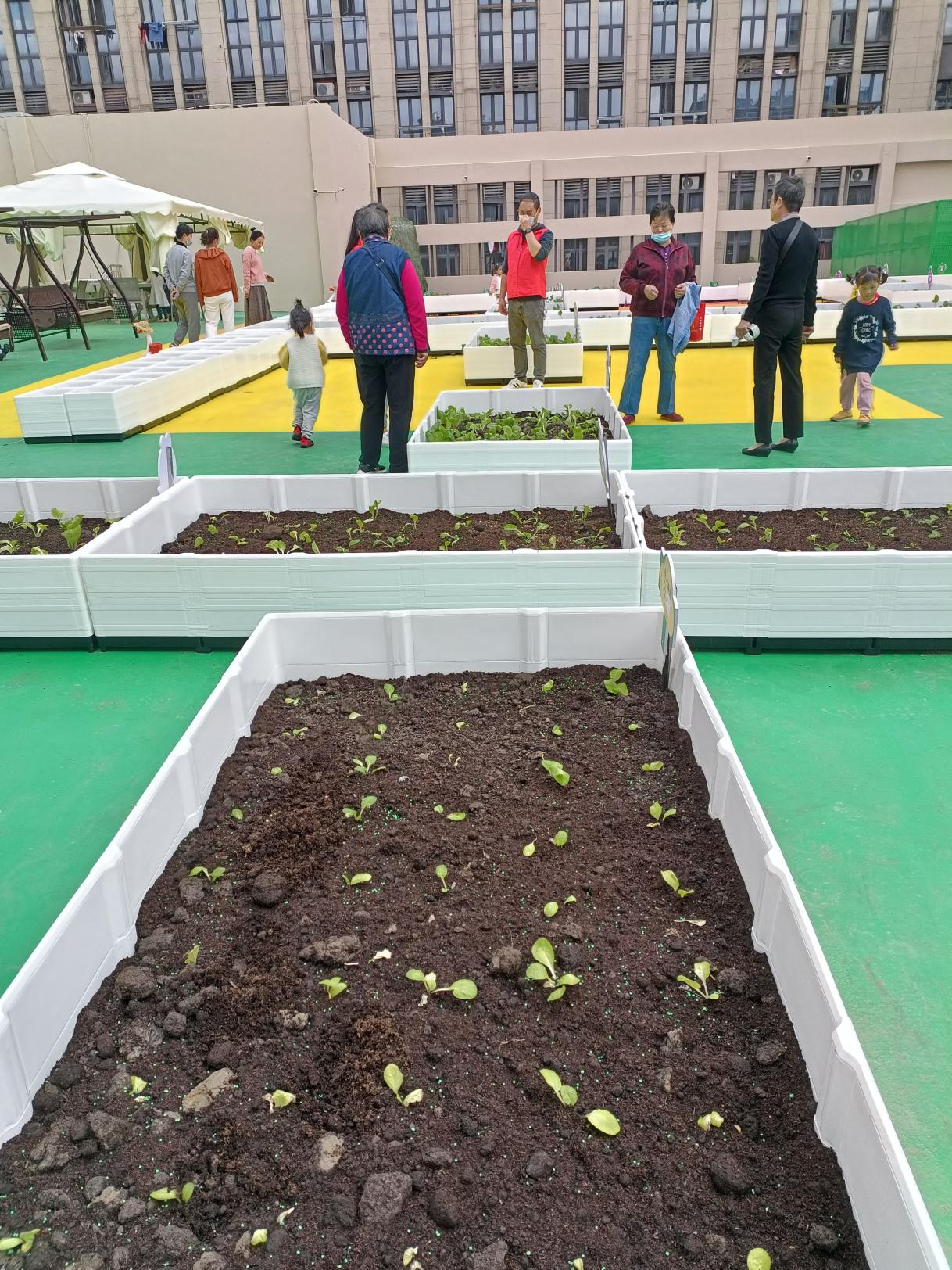 熟妇少妇任你躁在线无码