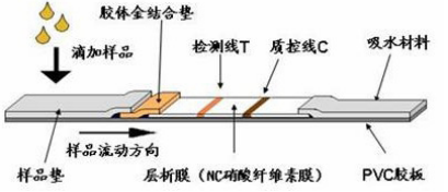 熟妇少妇任你躁在线无码