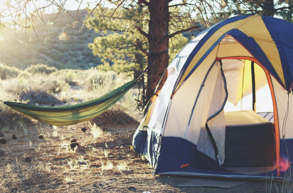 熟妇少妇任你躁在线无码