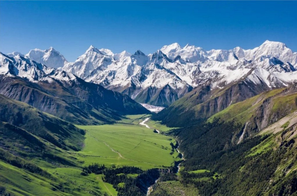 熟妇少妇任你躁在线无码