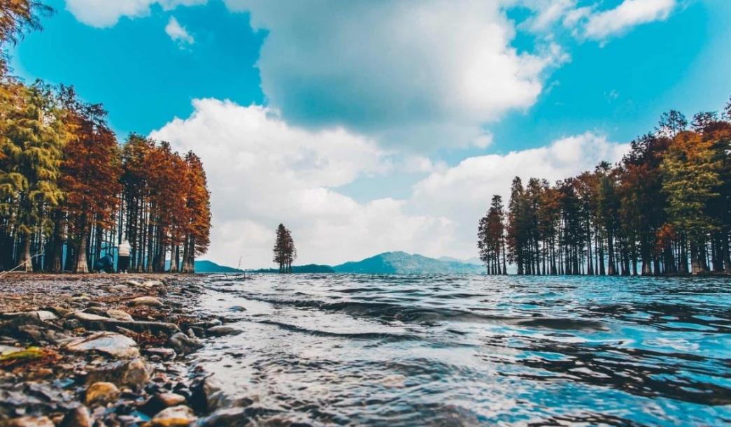 熟妇少妇任你躁在线无码