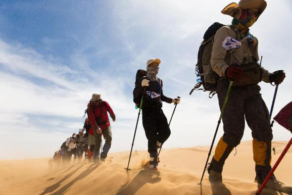 熟妇少妇任你躁在线无码