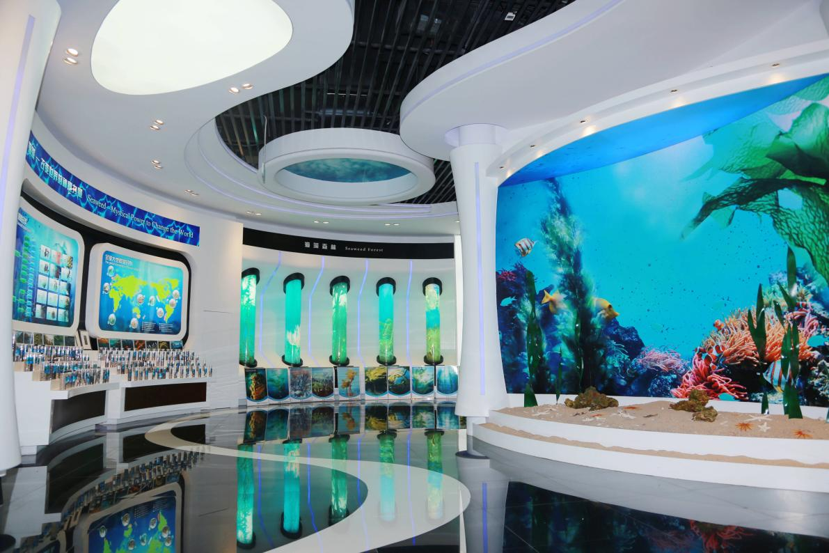 熟妇少妇任你躁在线无码